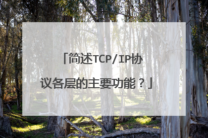简述TCP/IP协议各层的主要功能？