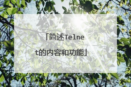 简述Telnet的内容和功能