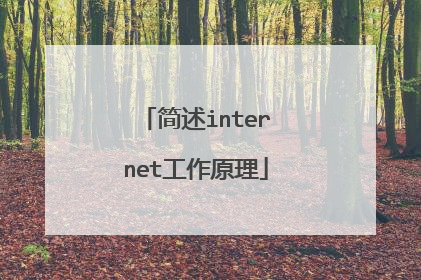 简述internet工作原理