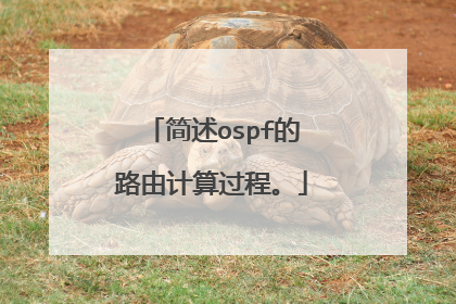 简述ospf的路由计算过程。