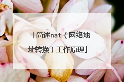 简述nat(网络地址转换)工作原理