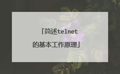 简述telnet的基本工作原理