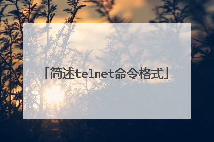 简述telnet命令格式