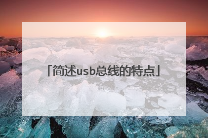 简述usb总线的特点