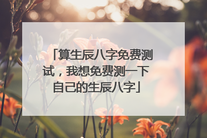 算生辰八字免费测试，我想免费测一下自己的生辰八字