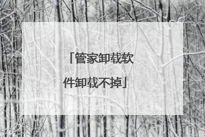 管家卸载软件卸载不掉