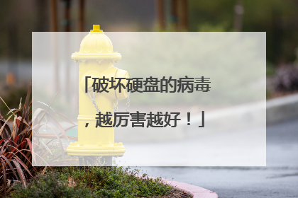 破坏硬盘的病毒，越厉害越好！