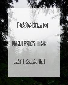 破解校园网限制的路由器是什么原理
