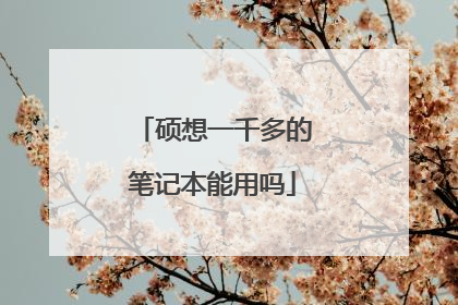 硕想一千多的笔记本能用吗