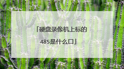 硬盘录像机上标的485是什么口
