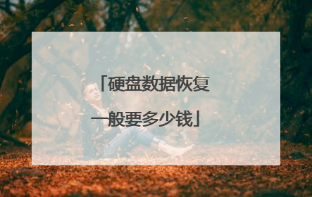 硬盘数据恢复一般要多少钱