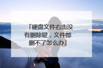 硬盘文件右击没有删除键,文件都删不了怎么办