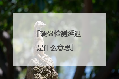 硬盘检测延迟是什么意思