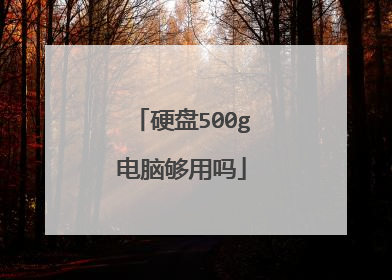 硬盘500g电脑够用吗