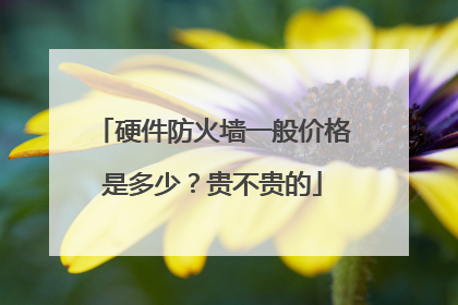 硬件防火墙一般价格是多少？贵不贵的