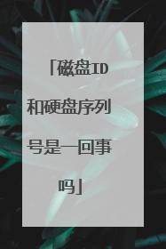 磁盘ID和硬盘序列号是一回事吗