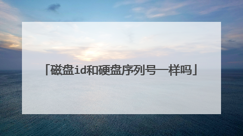 磁盘id和硬盘序列号一样吗