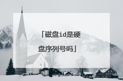 磁盘id是硬盘序列号吗