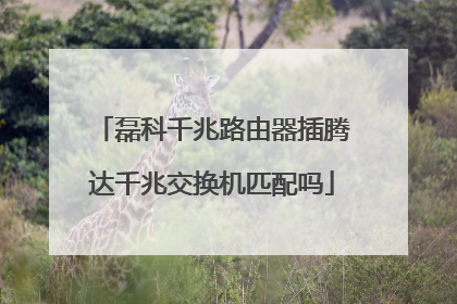 磊科千兆路由器插腾达千兆交换机匹配吗