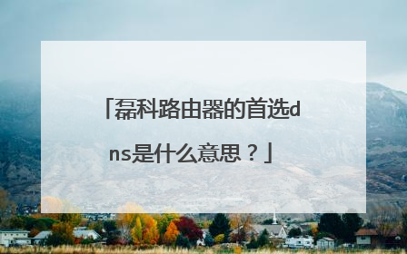 磊科路由器的首选dns是什么意思？