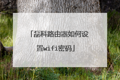 磊科路由器如何设置wifi密码