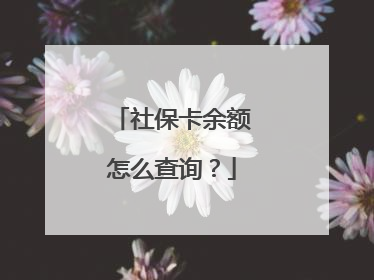 社保卡余额怎么查询?