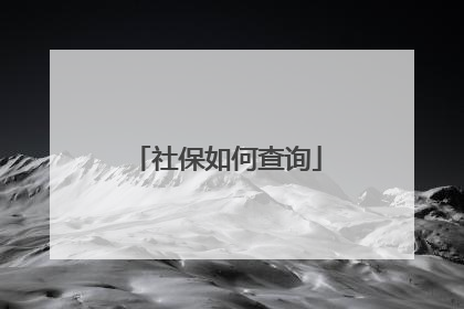 社保如何查询