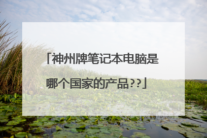 神州牌笔记本电脑是哪个国家的产品??
