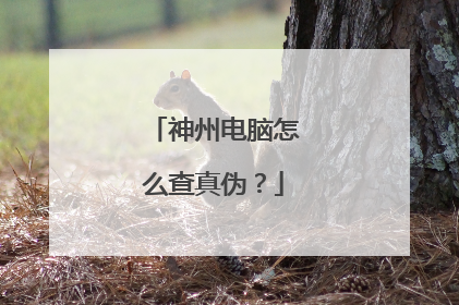 神州电脑怎么查真伪？