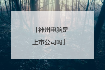 神州电脑是上市公司吗