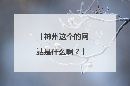 神州这个的网站是什么啊?