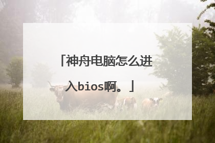 神舟电脑怎么进入bios啊。