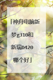 神舟电脑新梦g310和新瑞D420哪个好