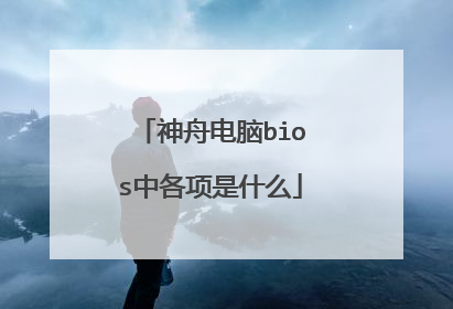 神舟电脑bios中各项是什么