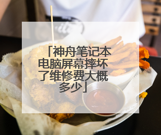 神舟笔记本电脑屏幕摔坏了维修费大概多少