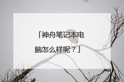 神舟笔记本电脑怎么样呢？
