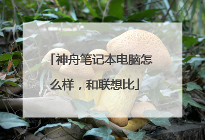 神舟笔记本电脑怎么样,和联想比