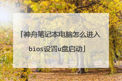 神舟笔记本电脑怎么进入bios设置u盘启动
