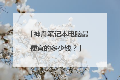 神舟笔记本电脑最便宜的多少钱?
