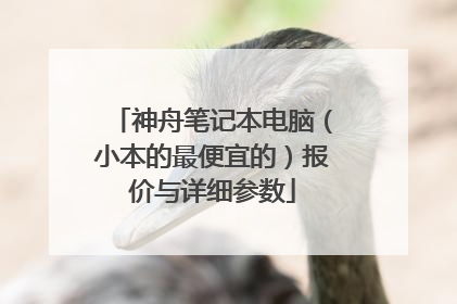 神舟笔记本电脑(小本的最便宜的)报价与详细参数