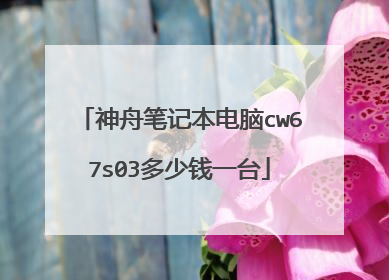 神舟笔记本电脑cw67s03多少钱一台