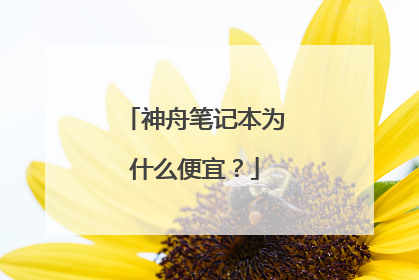 神舟笔记本为什么便宜?