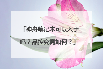 神舟笔记本可以入手吗？品控究竟如何？