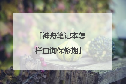 神舟笔记本怎样查询保修期