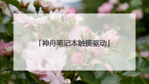 神舟笔记本触摸驱动