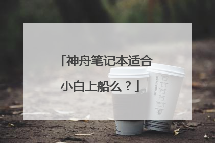 神舟笔记本适合小白上船么?