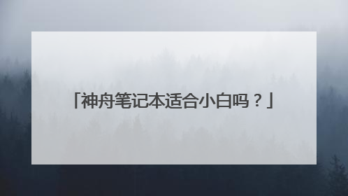 神舟笔记本适合小白吗？