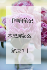 神舟笔记本黑屏怎么解决?