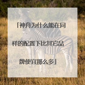 神舟为什么能在同样的配置下比其它品牌便宜那么多