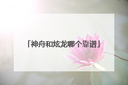 神舟和炫龙哪个靠谱